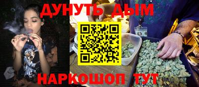 мдпв Будённовск