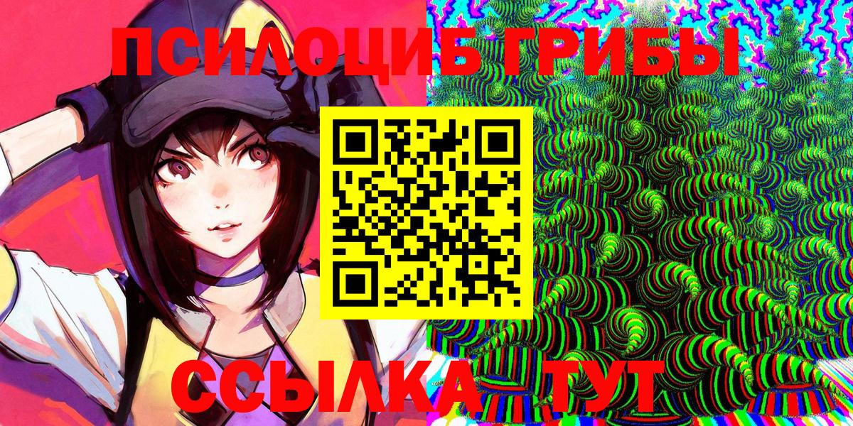 Псилоцибиновые грибы мицелий  Вход с VPN  купить закладку  Орехово-Зуево 